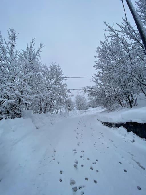 Little Canadian Lodge, Limone Limone Piemonte Esterno foto